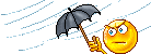 Wind! brauss